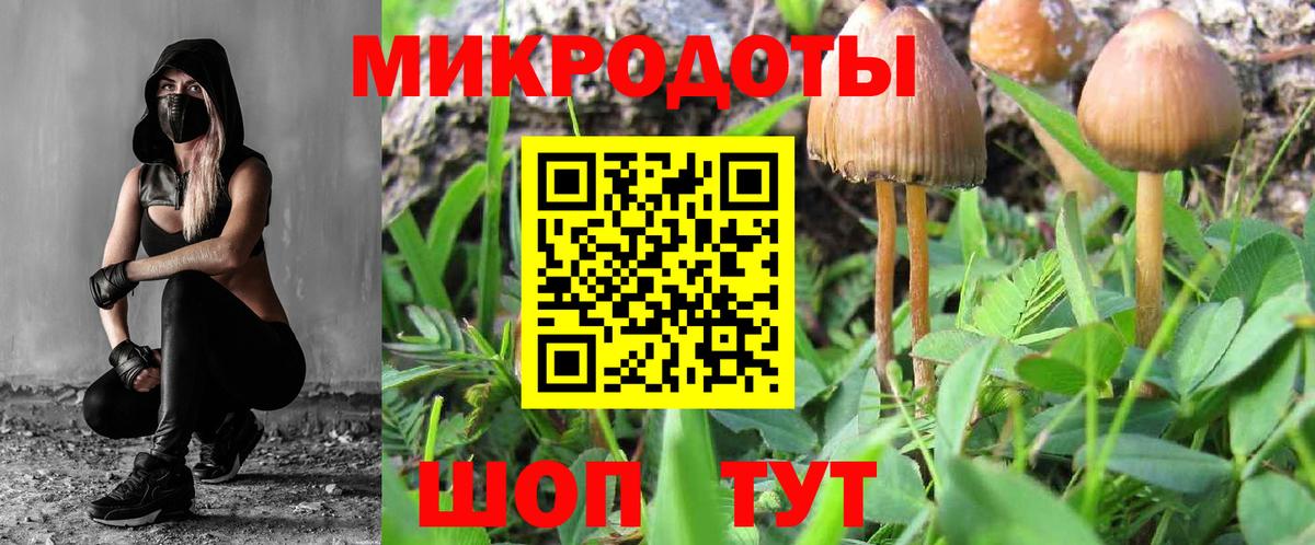 Псилоцибиновые грибы Magic Shrooms  Вход с VPN  Черняховск 