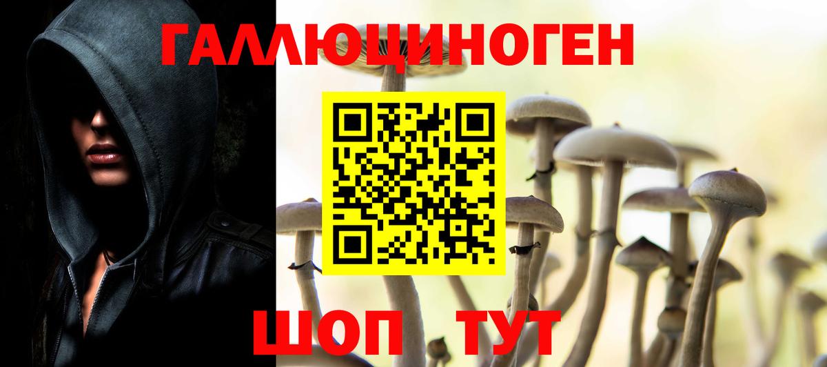 Галлюциногенные грибы мухоморы Черняховск